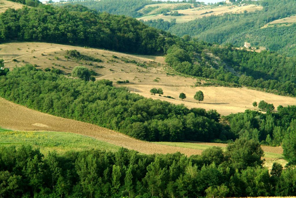 בית הארחה Poggio Aquilone 	Fattoria L' Aquilone מראה חיצוני תמונה