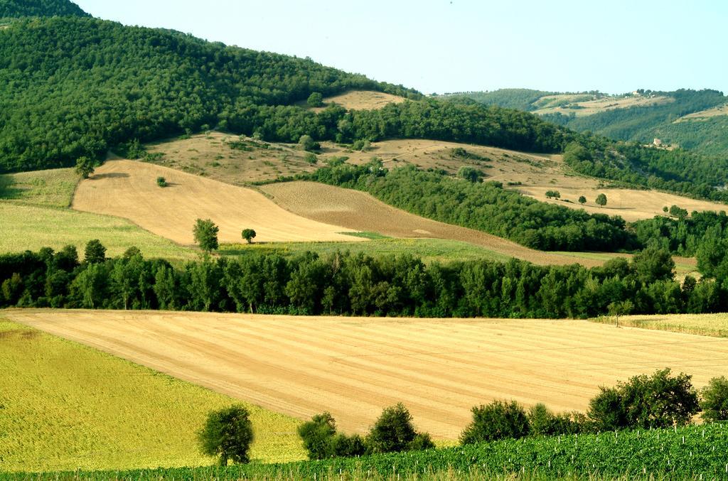 בית הארחה Poggio Aquilone 	Fattoria L' Aquilone מראה חיצוני תמונה